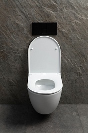 Allen Brau Чаша подвесного унитаза Priority 4.31008.20 белый глянец – фотография-7