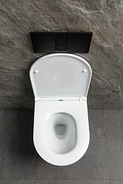 Allen Brau Унитаз подвесной Priority 4.31008.20 белый глянец с крышкой 4.31010.20 – фотография-6