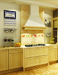 Сокол Гурман – фотография-2