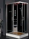 Eago Душевая кабина DZ954 F8 L черное стекло – фотография-4