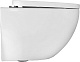 Azario Унитаз подвесной Ormi AZ-0253VD безободковый белый – картинка-20