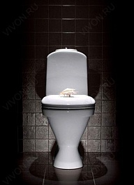 Sanita Luxe Унитаз-компакт Classic luxe 420756 без микролифта – фотография-3