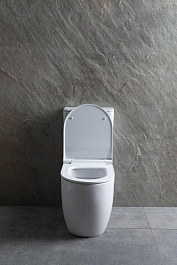 Allen Brau Унитаз напольный Priority 4.31003.20 белый – фотография-16