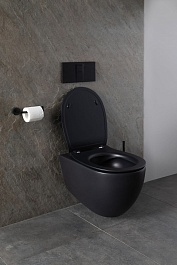 Allen Brau Чаша подвесного унитаза Reality 4.32006.31 чёрный матовый – фотография-12