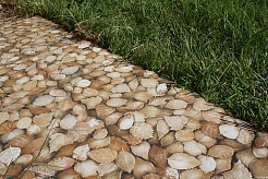 Oset Irati – фотография-1