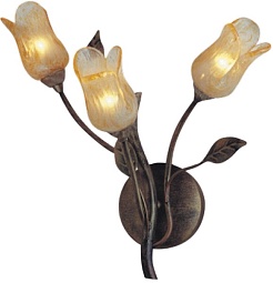 N-Light Бра BX-0205/3B – фотография-1