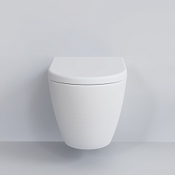 Ambassador Сиденье для унитаза Queen белое матовое – фотография-3