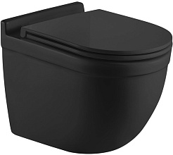 WeltWasser Унитаз подвесной Heimbach 041 MT-BL черный матовый – фотография-1