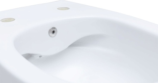 Allen Brau Унитаз подвесной Fantasy 4.11HC1.20 белый глянец с крышкой 4.11005.20 – фотография-24