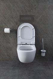 Allen Brau Унитаз с инсталляцией Priority 4.31002.20/8.9466.0.000.000.1 белый глянец – фотография-15