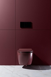 Allen Brau Чаша подвесного унитаза Fantasy 4.11004.BD бордо – фотография-23