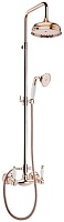 Webert Душевая система Dorian DO760405065 бронза