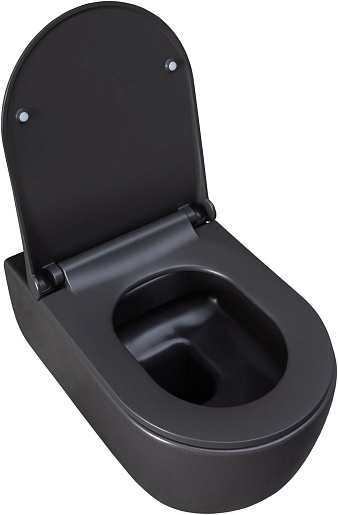 Allen Brau Унитаз подвесной Priority 4.31001.AN антрацит с крышкой 4.31004.AN – картинка-13