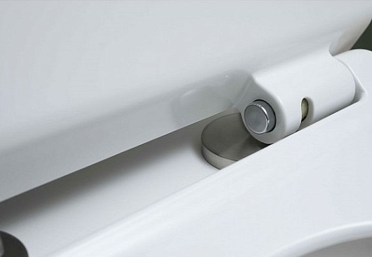 Aquanet Чаша унитаза Rimless Roll-C CL-12249B – фотография-4