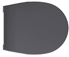 Allen Brau Крышка-сиденье Reality 4.32007.AN антрацит