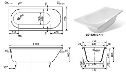 Эстет Ванна Честер – фотография-2