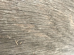 Коллекция плитки 0 Sava