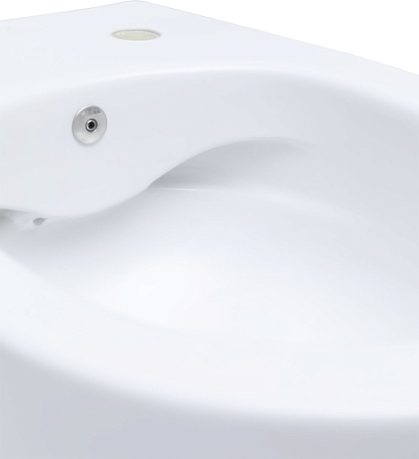 Allen Brau Унитаз подвесной Fantasy 4.11HC1.20 белый глянец с крышкой 4.11005.20 – картинка-27