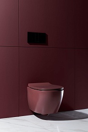 Allen Brau Чаша подвесного унитаза Fantasy 4.11004.BD бордо – фотография-21