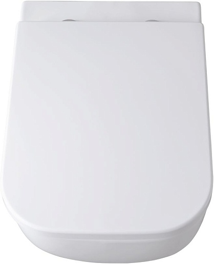 Allen Brau Унитаз подвесной Infinity 4.21004.20 белый глянец с крышкой 4.21010.20 – фотография-18