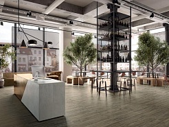  Таймлес – фотография-2