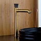 Paini Смеситель для раковины Domus 18PJ205PZLL высокий, брашированные золото/чёрный – фотография-10