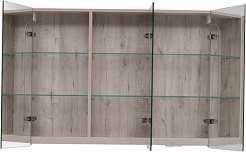 Dreja Зеркальный шкаф PREMIUM 100 дуб кантри – фотография-2