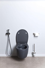 Allen Brau Чаша подвесного унитаза Fantasy 4.11004.AN антрацит – фотография-20