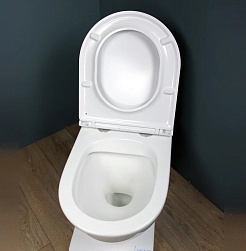 Teymi Унитаз подвесной Lina S T40102 – фотография-8