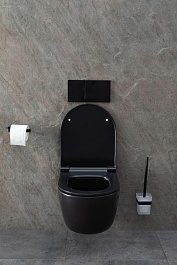 Allen Brau Унитаз подвесной Priority 4.31002.31 чёрный матовый с крышкой 4.31004.31 – фотография-26