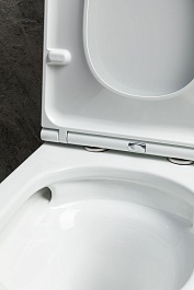 Allen Brau Унитаз напольный Priority Tornado 4.31006.20 белый глянец – фотография-5