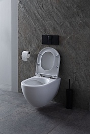 Allen Brau Унитаз с инсталляцией Reality 4.32006.20/8.9466.0.000.000.1 белый глянец – фотография-11