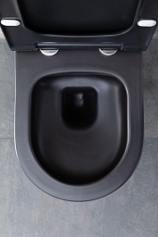 Allen Brau Унитаз подвесной Priority 4.31001.31 чёрный матовый с крышкой 4.31004.31 – фотография-15