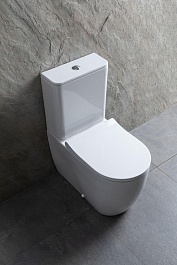 Allen Brau Унитаз напольный Priority 4.31003.20 белый – фотография-19