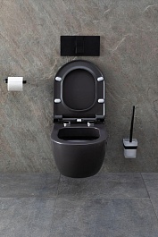 Allen Brau Унитаз подвесной Priority 4.31001.AN антрацит с крышкой 4.31004.AN – фотография-22