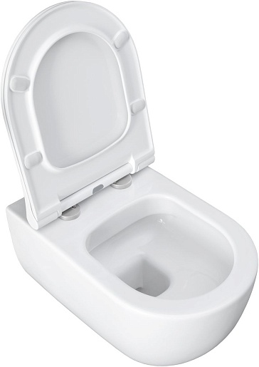 Allen Brau Унитаз подвесной Priority 4.31001.20 белый глянец с крышкой 4.31004.20 – картинка-17