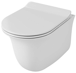 Owl 1975 Унитаз безободковый Eter Cirkel-H с сиденьем DP микролифт – фотография-1