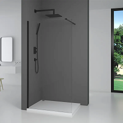 Parly Душевая перегородка T100B – фотография-4