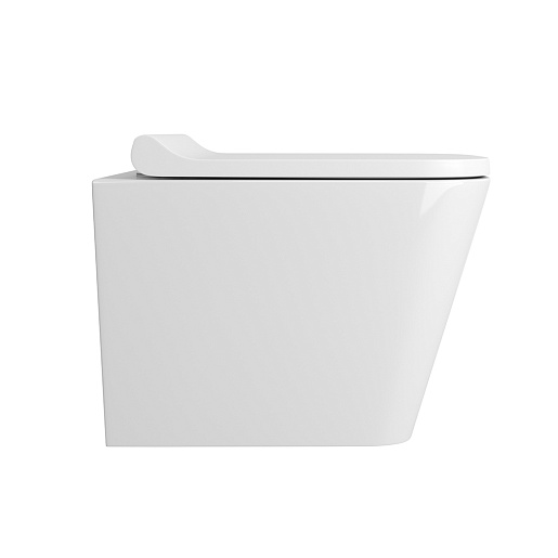 Owl 1975 Унитаз безободковый Vatter Ruta-H mini с сиденьем DP микролифт – фотография-2