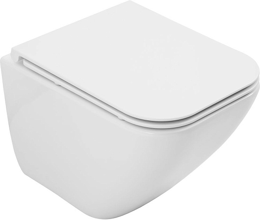 Allen Brau Унитаз подвесной Liberty 4.33011.20 белый с крышкой 4.33015.20 – фотография-12