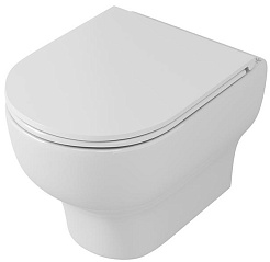 Owl 1975 Унитаз безободковый Tid Cirkel-H с сиденьем DP микролифт – фотография-1