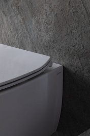 Allen Brau Чаша подвесного унитаза Fantasy 4.11HC1.20 белый глянец – фотография-13