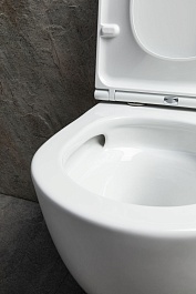 Allen Brau Унитаз подвесной Priority 4.31008.20 белый глянец с крышкой 4.31010.20 – фотография-8