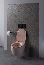 Allen Brau Чаша подвесного унитаза Fantasy 4.11004.SM розовый – фотография-5