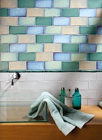 Cevica Antic Special