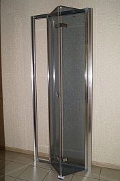 Parly Душевая дверь в нишу D91 – фотография-3