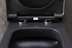 Allen Brau Чаша подвесного унитаза Priority 4.31002.AN антрацит – фотография-23