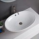 BelBagno Накладная раковина 63/41 BB1104 – картинка-13