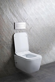 Allen Brau Чаша подвесного унитаза Liberty 4.33009.20 белый – фотография-28